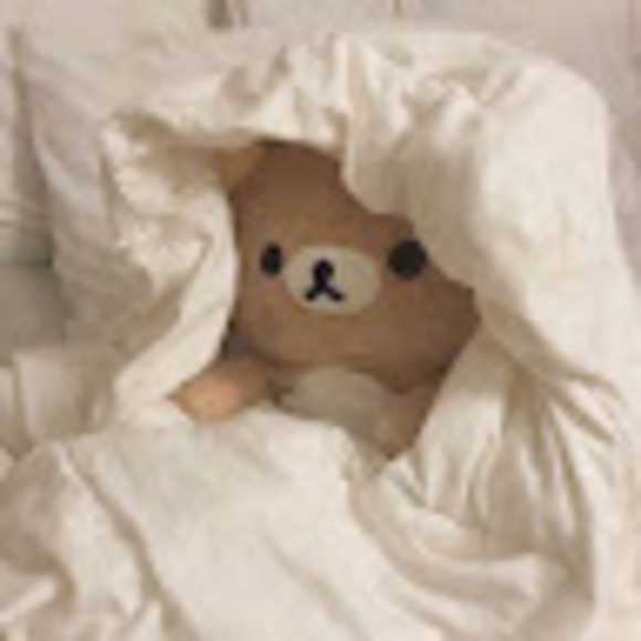 Meet your Posher, Sophia - Picture 1 of 1